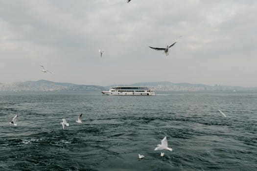 Ferry crossing the Bosphorus in Istanbul with seagulls flying overhead, under a cloudy sky.