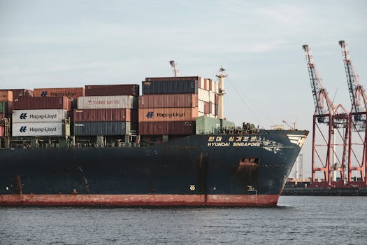 Cargo ship with containers and cranes in Hamburg port.