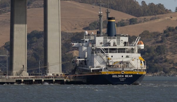 Cariere Maritime: Navigator Comercial vs. Inginer Naval - Ce ți se Potrivește Mai Bine? 3 A large cargo ship named 'Golden Bear' navigates beneath a bridge on a river.
