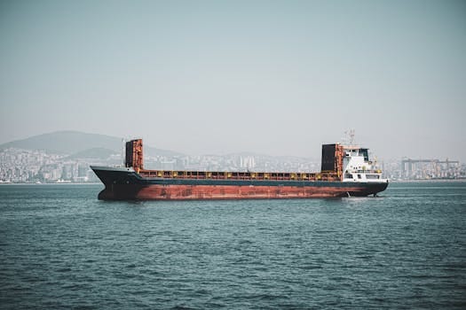 Ghid complet pentru obținerea certificatului STCW: pași și avantaje 4 Cargo ship sailing in İstanbul with city backdrop, emphasizing maritime transport.