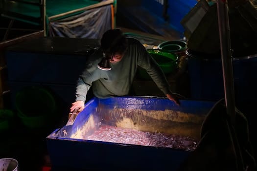 A fisherman sorts fish in ice under light in a dark boat at night.