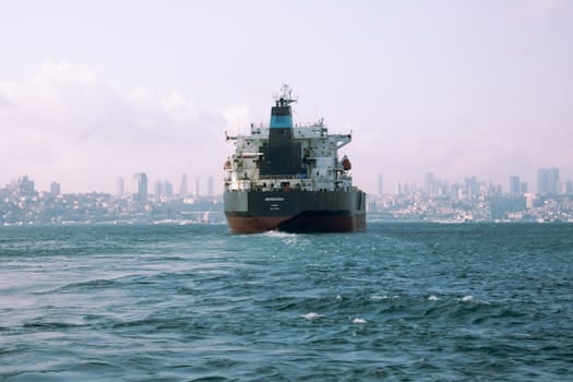 Comparație Curs Navigație Offshore Preț București vs Alte Orașe: Ghid Alegere Beneficii 2 Large cargo ship sails through Istanbul's Bosphorus with city skyline in background.