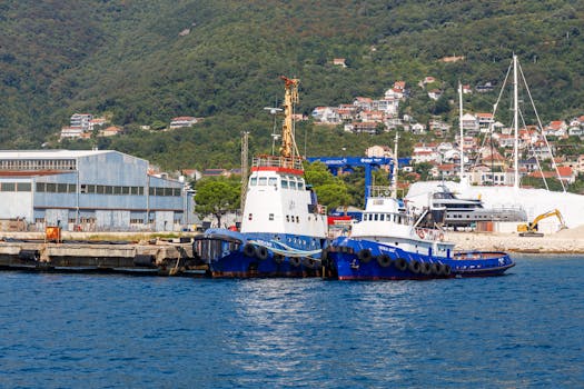 Comparație Detaliată Între Cursurile STCW Online și Offline în România 3 Two blue and white tugboats docked at a vibrant port with hills and houses in the background.