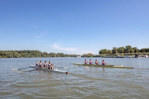 Cum să Alegi Între Diferența Tradițional vs Online Curs Ofițer Punte STCW pentru Certificare Management Maritim 3 Rowing teams compete on the Sava River, showcasing teamwork and summer recreation.