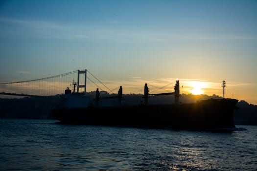 Cum să Soluționezi Problemele Comune de Trecere a Examenului pentru Marinar Profesionist 2 Dramatic shot of a cargo ship silhouetted by sunrise, with a suspension bridge in the background.