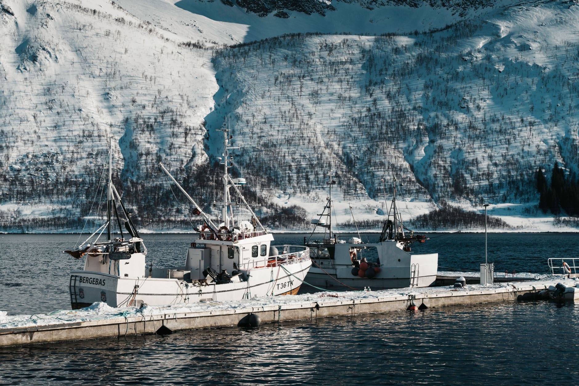 Cum să Compari Costurile pentru Certificatul STCW: Diferența Module 2010 vs 1995 1 You are currently viewing Cum să Compari Costurile pentru Certificatul STCW: Diferența Module 2010 vs 1995
