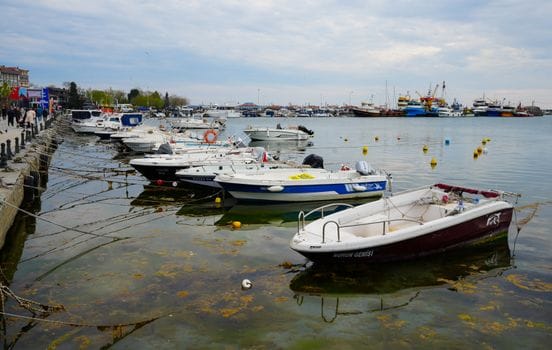Docked boats at a harbor reflecting on the calm waterfront on a cloudy day.