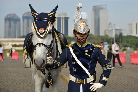 Este Necesară o Scrisoare de Intenție la Aplicarea pentru Certificatul STCW în România? 4 A ceremonial guard in uniform with a horse in city backdrop, ideal for editorial use.