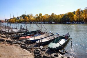 Read more about the article Top 7 Elemente Esențiale pentru o Scrisoare de Intenție de Succes în Shipping