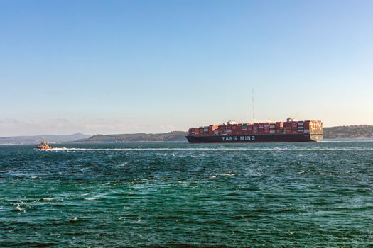 Top 7 Dotări ale Norman Clipper care Revoluționează Viața Marinarilor Români 4 A Yang Ming cargo ship navigating the ocean with a small boat nearby under clear blue skies.